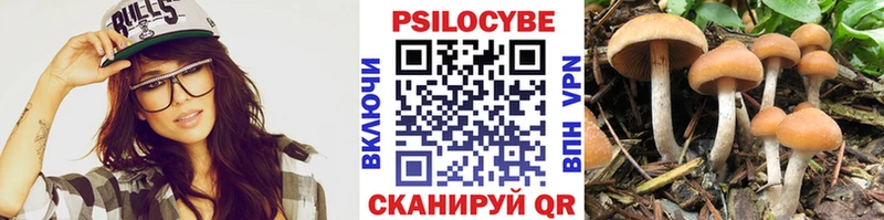 blacksprut ONION  Краснообск  Галлюциногенные грибы мухоморы 